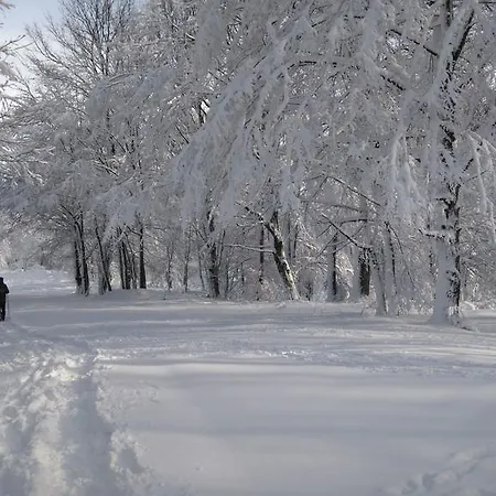 Var-lak Apartament Kőszeg