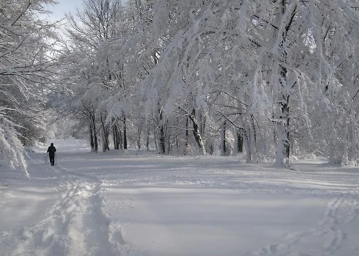 Var-lak דירה Kőszeg